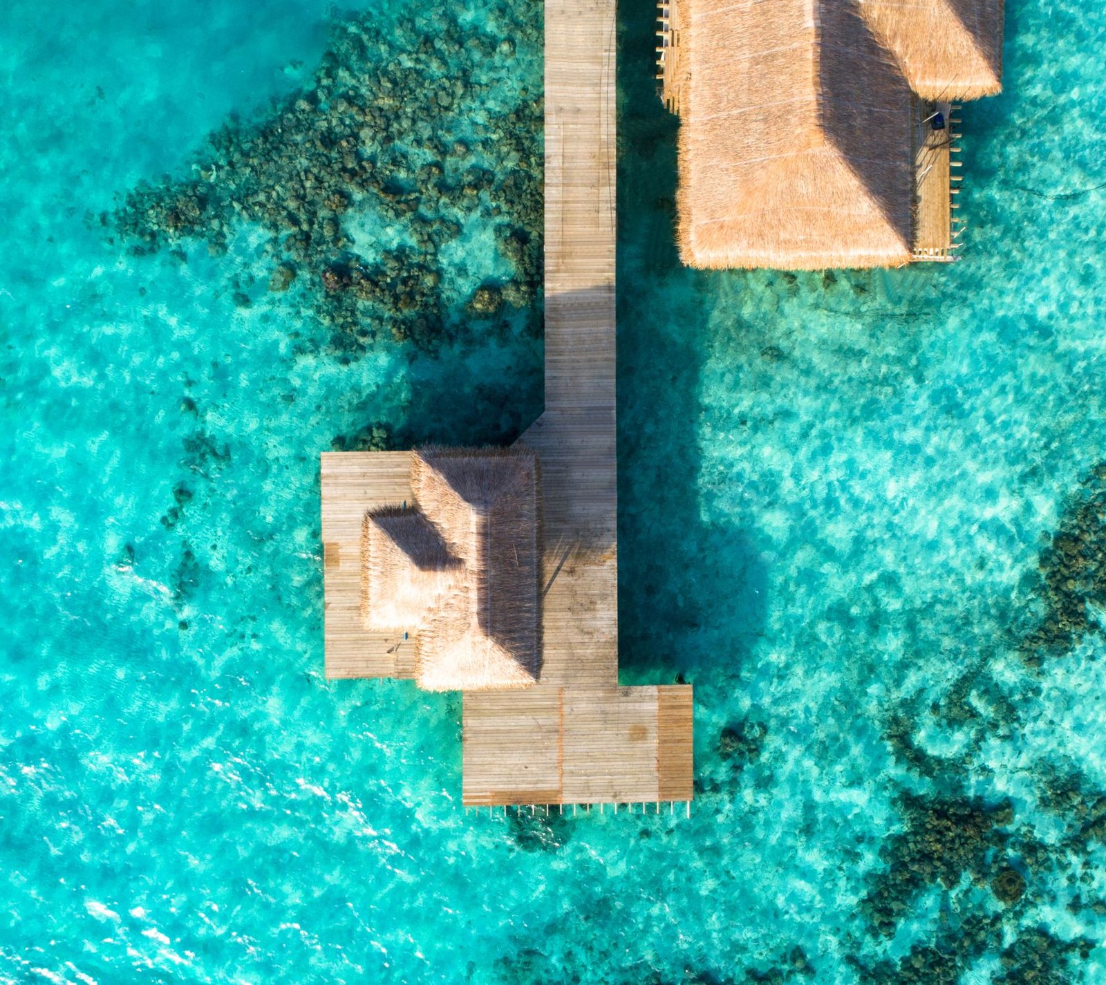 Vista aérea del lodge sobre el mar — AQUALODGE Tumbes