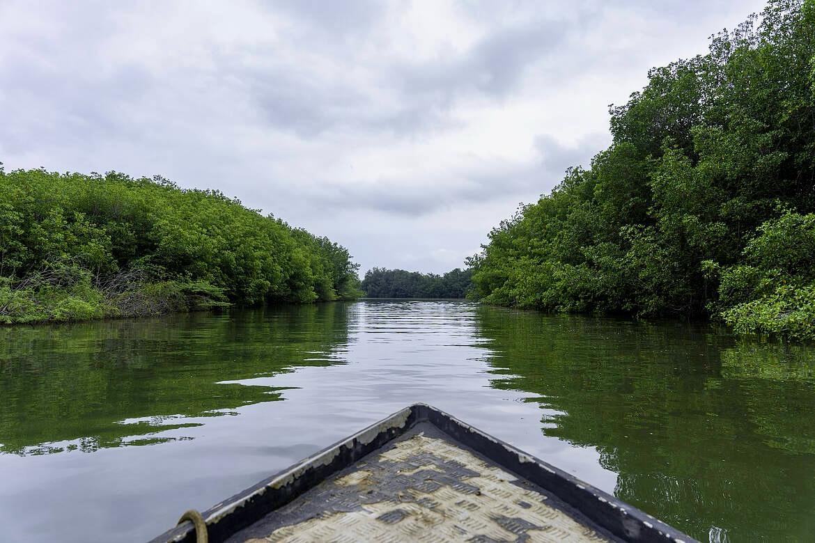 Manglares de Tumbes en bote